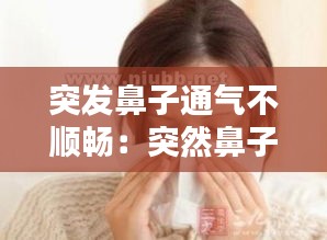 突发鼻子通气不顺畅：突然鼻子不透气了 