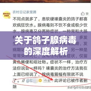 关于鸽子腺病毒的深度解析