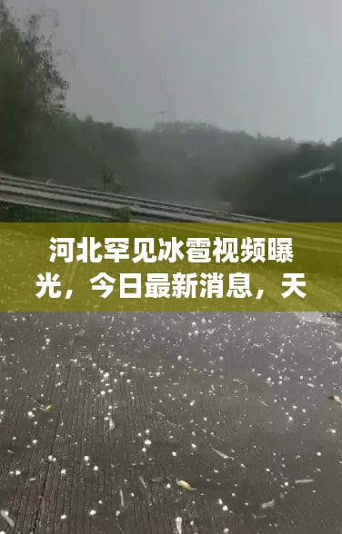 笃学好古 第2页