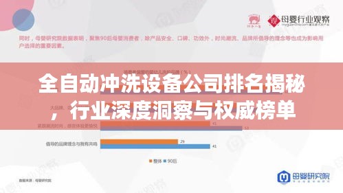 全自动冲洗设备公司排名揭秘，行业深度洞察与权威榜单