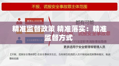精准监督政策 精准落实：精准监督方式 