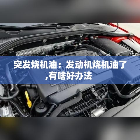 突发烧机油：发动机烧机油了,有啥好办法 