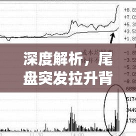 深度解析，尾盘突发拉升背后的动因及市场现象反思