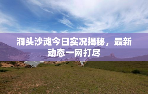 洞头沙滩今日实况揭秘，最新动态一网打尽