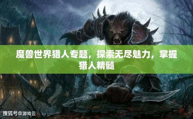 魔兽世界猎人专题，探索无尽魅力，掌握猎人精髓