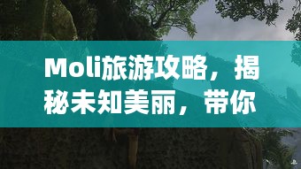 Moli旅游攻略，揭秘未知美丽，带你探索神秘之地！