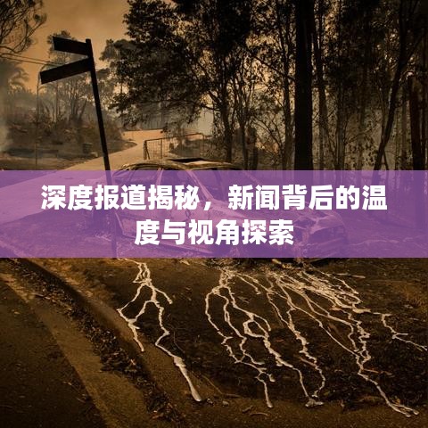 深度报道揭秘，新闻背后的温度与视角探索