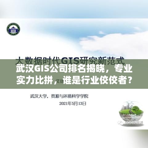 武汉GIS公司排名揭晓，专业实力比拼，谁是行业佼佼者？