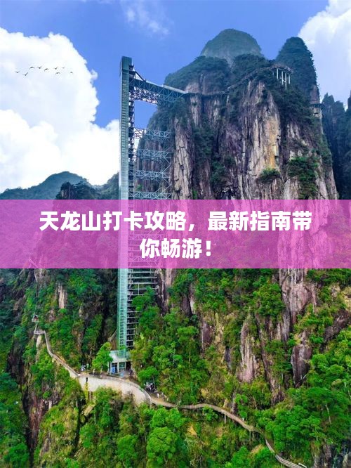 天龙山打卡攻略，最新指南带你畅游！