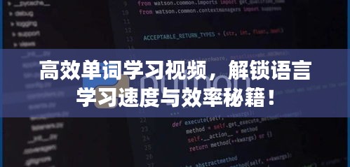 高效单词学习视频，解锁语言学习速度与效率秘籍！
