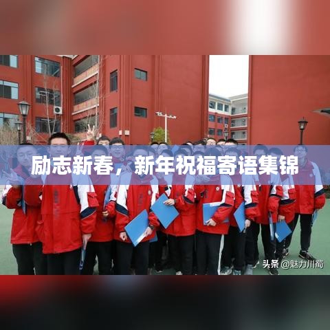 笃实好学 第2页