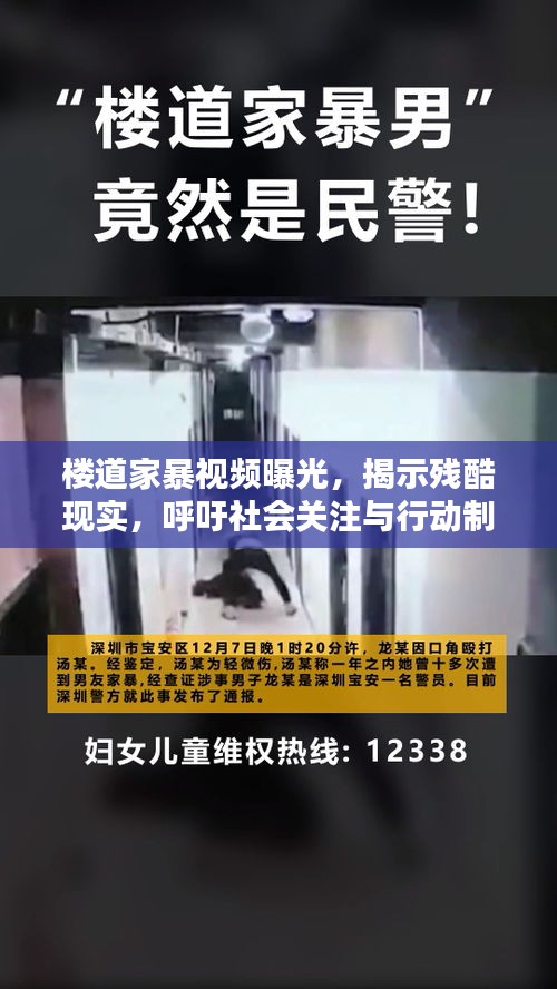 楼道家暴视频曝光，揭示残酷现实，呼吁社会关注与行动制止家暴