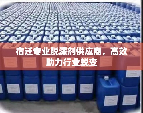 宿迁专业脱漆剂供应商，高效助力行业蜕变