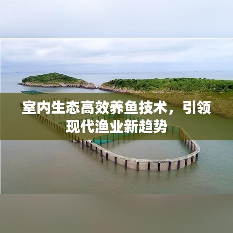 室内生态高效养鱼技术，引领现代渔业新趋势