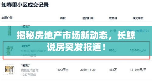揭秘房地产市场新动态，长鲸说房突发报道！