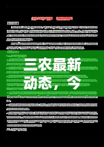 三农最新动态，今日热点关注与消息查询
