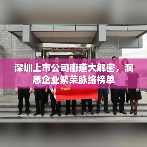 深圳上市公司街道大解密，洞悉企业繁荣脉络榜单