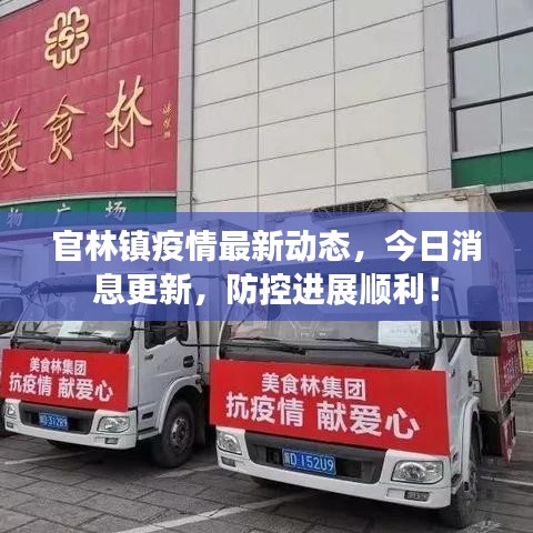 官林镇疫情最新动态，今日消息更新，防控进展顺利！