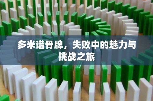 新闻动态 第72页