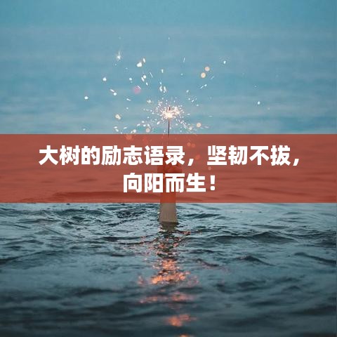 鸟飞兔走 第2页