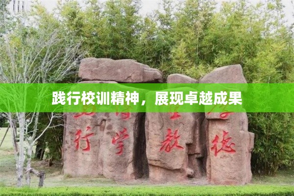 践行校训精神，展现卓越成果