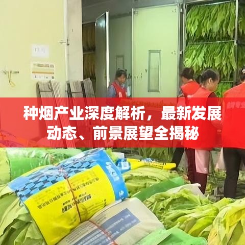 百鸟归巢 第2页