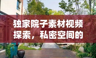 独家院子素材视频探索，私密空间的视觉盛宴
