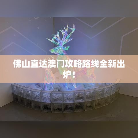 佛山直达澳门攻略路线全新出炉！