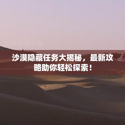 沙漠隐藏任务大揭秘，最新攻略助你轻松探索！