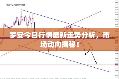 罗安今日行情最新走势分析，市场动向揭秘！