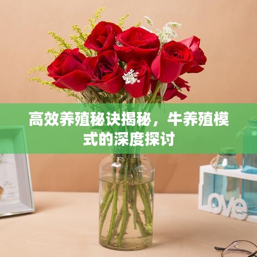 高效养殖秘诀揭秘，牛养殖模式的深度探讨