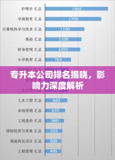 专升本公司排名揭晓，影响力深度解析