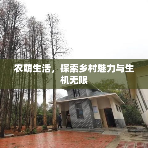 农萌生活，探索乡村魅力与生机无限