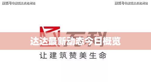 达达最新动态今日概览