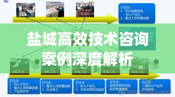 盐城高效技术咨询案例深度解析