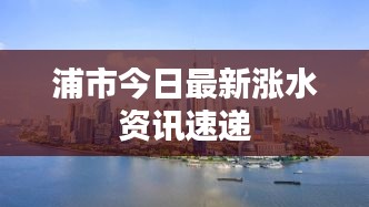 浦市今日最新涨水资讯速递