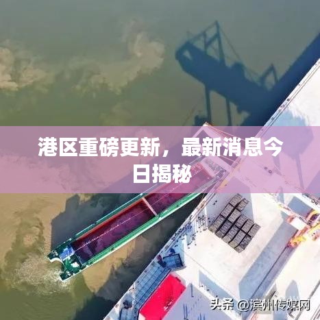 港区重磅更新，最新消息今日揭秘