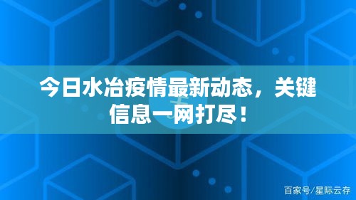今日水冶疫情最新动态，关键信息一网打尽！