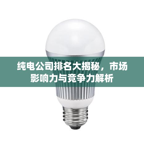 纯电公司排名大揭秘，市场影响力与竞争力解析