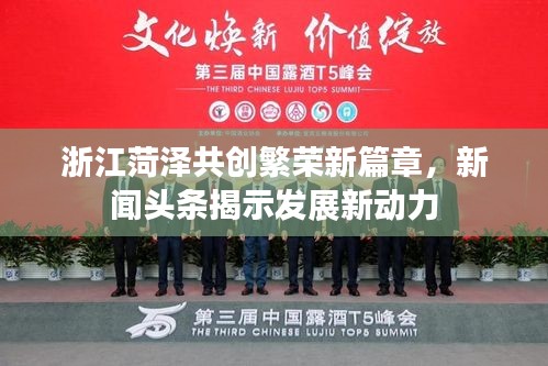 浙江菏泽共创繁荣新篇章，新闻头条揭示发展新动力