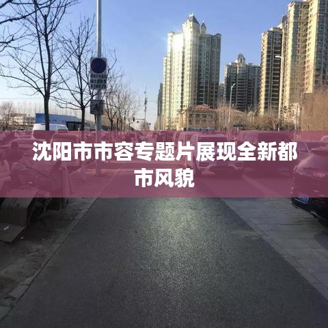 沈阳市市容专题片展现全新都市风貌