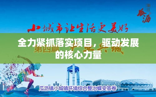 全力紧抓落实项目，驱动发展的核心力量