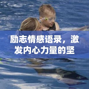 励志情感语录，激发内心力量的坚持与励志视频分享
