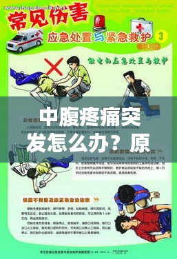 中腹疼痛突发怎么办？原因解析、应急处理与预防措施一网打尽！