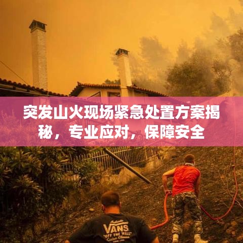 突发山火现场紧急处置方案揭秘，专业应对，保障安全
