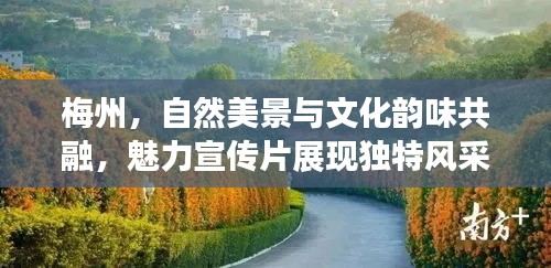 梅州，自然美景与文化韵味共融，魅力宣传片展现独特风采