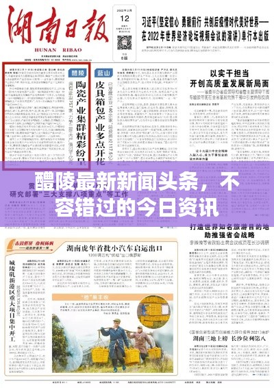 醴陵最新新闻头条，不容错过的今日资讯