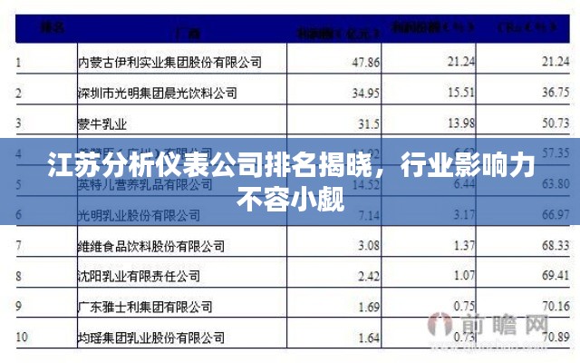 江苏分析仪表公司排名揭晓，行业影响力不容小觑