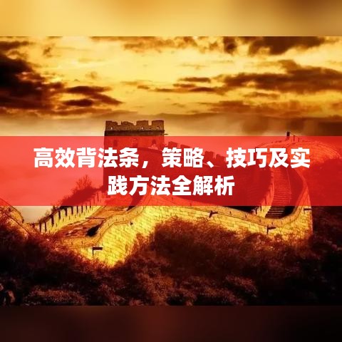 高效背法条，策略、技巧及实践方法全解析