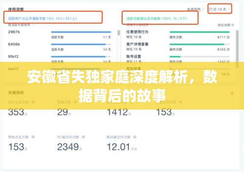 安徽省失独家庭深度解析，数据背后的故事